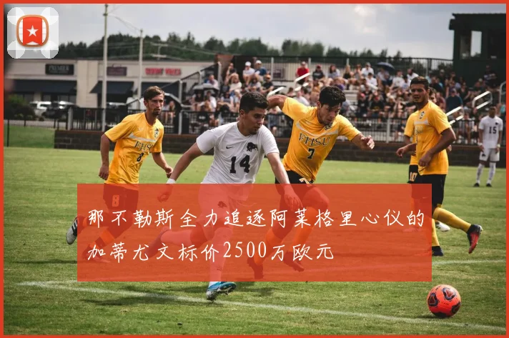 那不勒斯全力追逐阿莱格里心仪的加蒂尤文标价2500万欧元